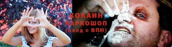 PSILOCYBIN Абаза